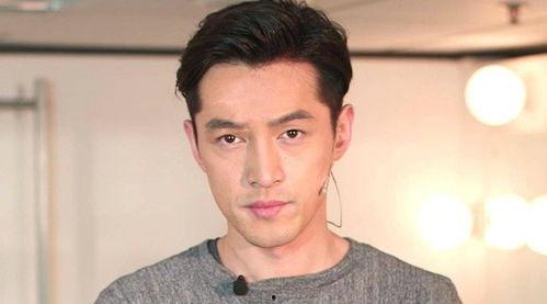 娱乐圈吃瓜爆料文件胡歌